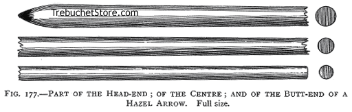 Fig. 177. - Part of the Head End; of the Centre; and of the Butt End of a Hazel Arrow.