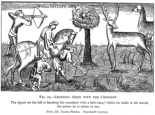 Fig. 19. - Shooting Deer with the Crossbow