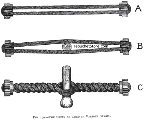 Fig. 199. - The Skeins of Cord in Various Stages.