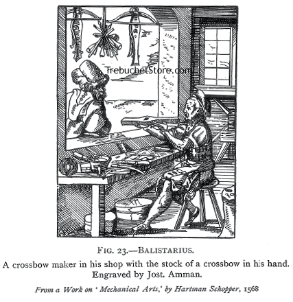 Fig. 23. - Balistarus