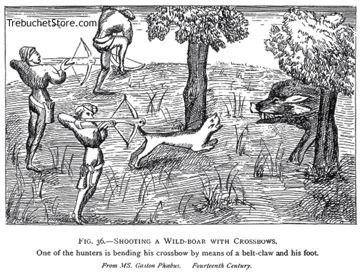 Fig. 36. - Shooting a Wild Boar with Crossbows.