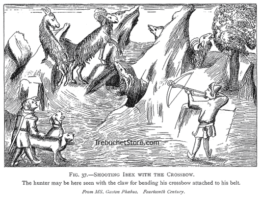 Fig. 37. - Shooting Ibex with the Crossbow.