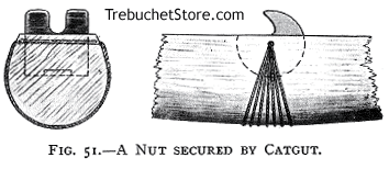 Fig. 51. - A Nut Secured by Catgut.