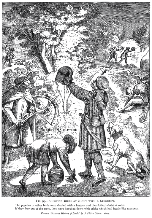 Fig. 99. - Shooting Birds at Night with a Stonebow.